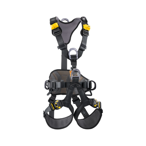 Harnesses Tagged