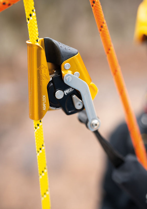 ASAP Lock, 2026 Refresh - Petzl - Dynamic Rescue Systems